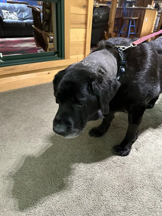 Hamlin Veterinary Clinic 12