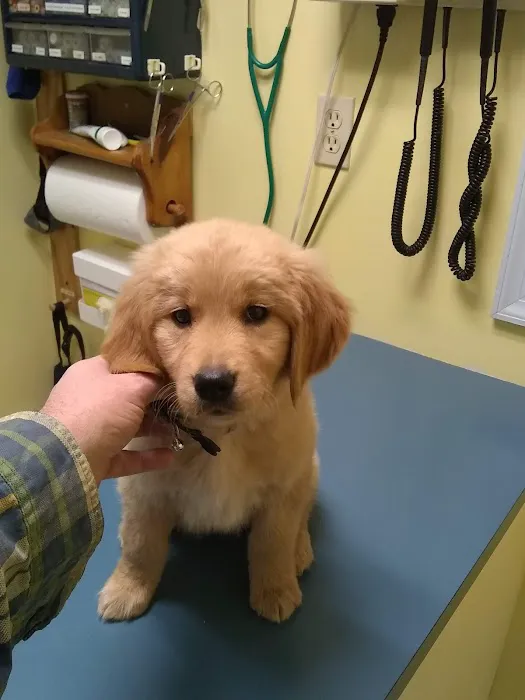 Canadensis Veterinary Clinic 8