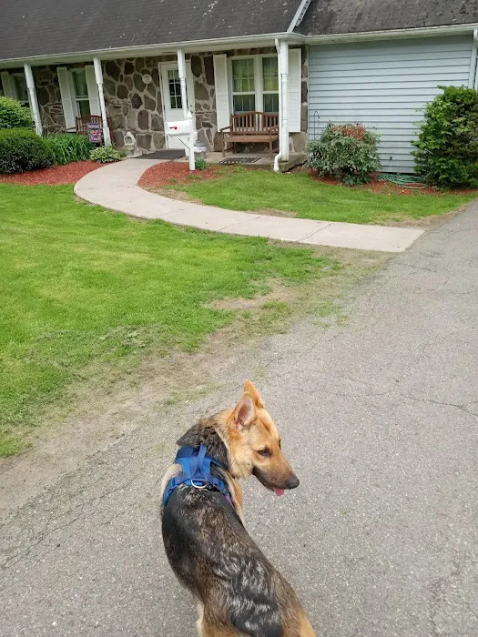 Carbondale Veterinary Hospital 9