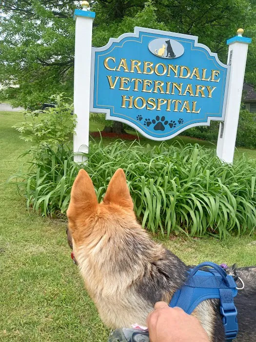 Carbondale Veterinary Hospital 10