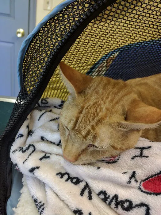 Carbondale Veterinary Hospital 8