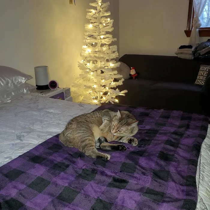 Countryside Animal Hospital 5