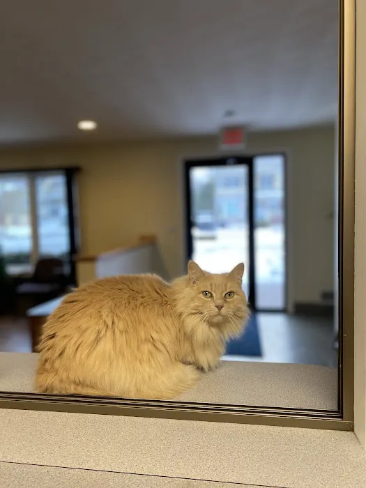 Fallbrook Veterinary Clinic 5