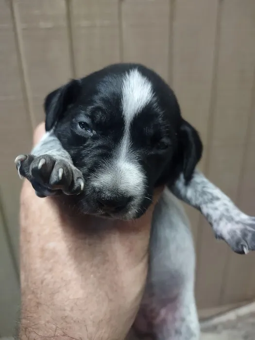 Fallbrook Veterinary Clinic 6