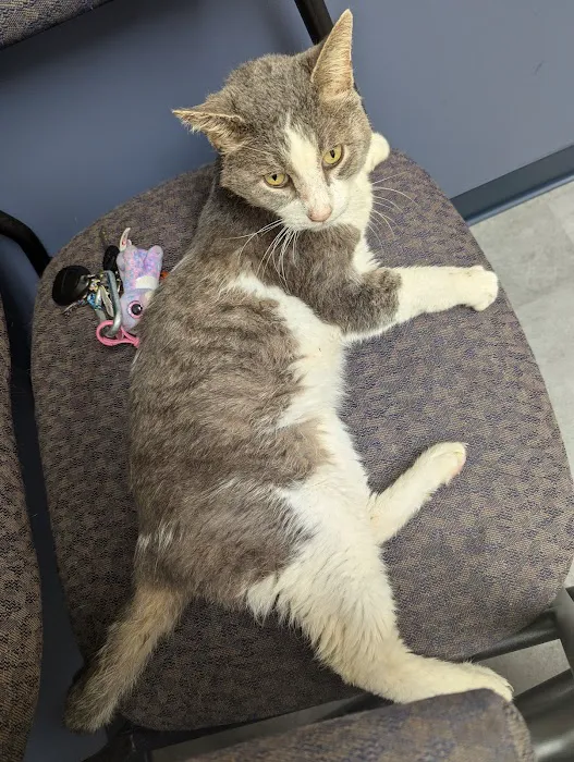 Fallbrook Veterinary Clinic 3