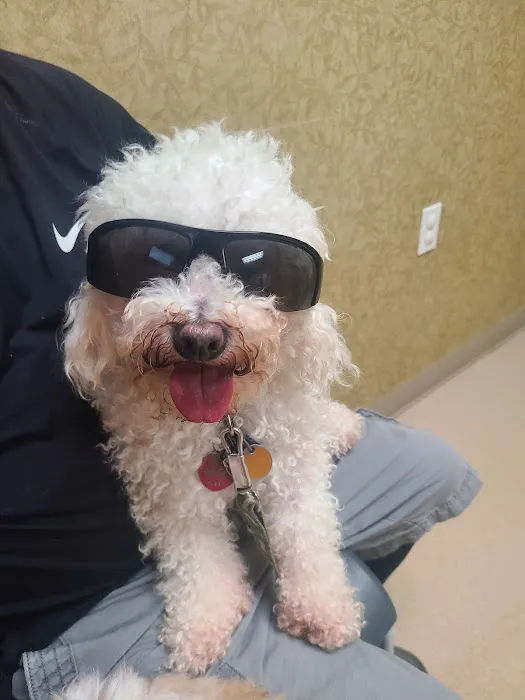 Jeffersonville Animal Hospital 7
