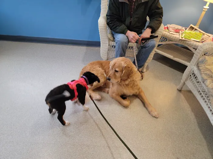 Youngsville Veterinary Clinic 4