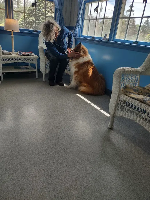 Youngsville Veterinary Clinic 9