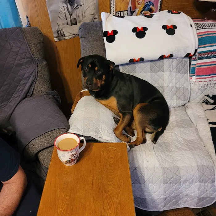Youngsville Veterinary Clinic 2