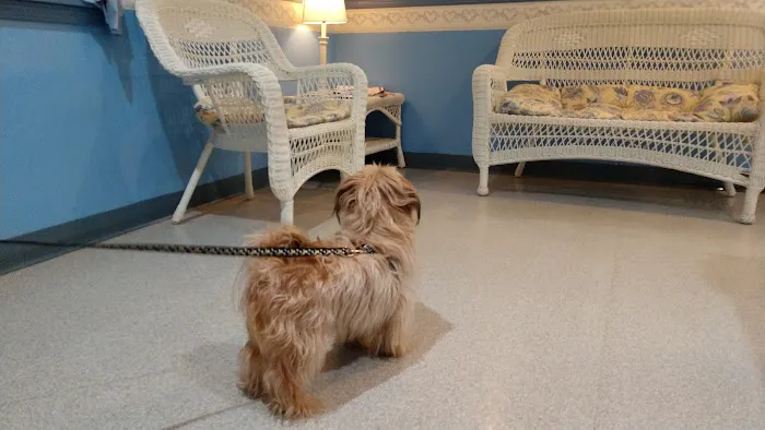 Youngsville Veterinary Clinic 3