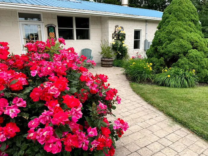 Animal Hospital of Sullivan County 3