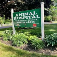 Animal Hospital of Sullivan County ico