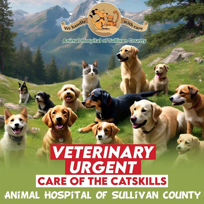 Catskill Urgent Veterinary Care 5