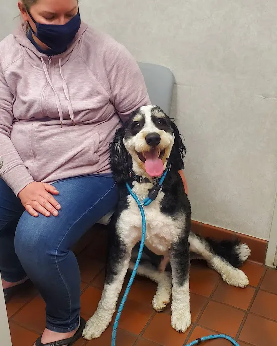 Levan Road Veterinary Hospital 8