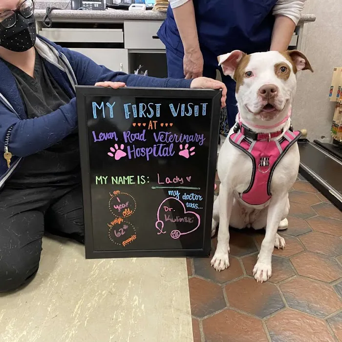 Levan Road Veterinary Hospital 7