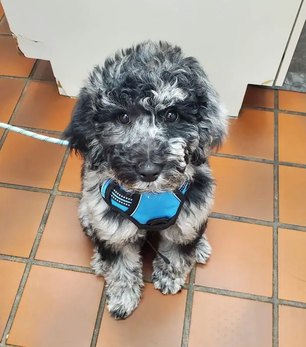 Levan Road Veterinary Hospital 5