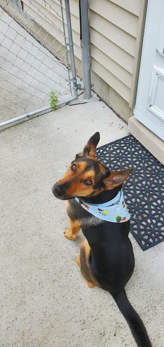 Vetco Vaccination Clinic 4