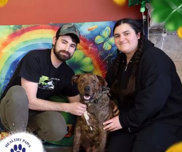 Healthy Paws Veterinary Care Center