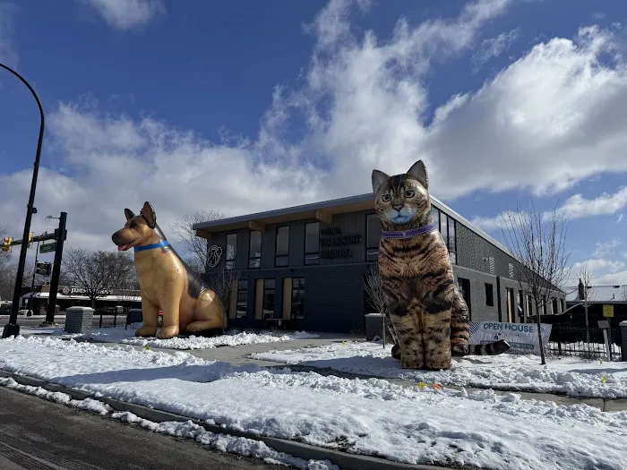 Griffith Veterinary Hospital 1