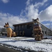 Griffith Veterinary Hospital ico