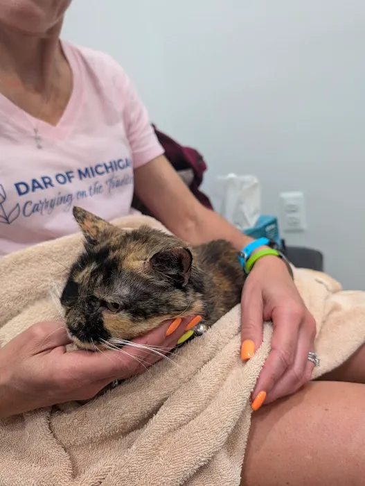 Griffith Veterinary Hospital 4