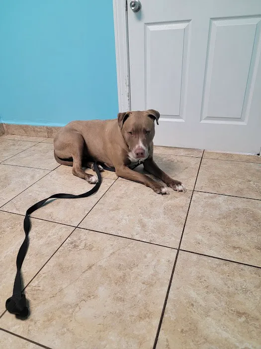 Wayne Mercy Animal Hospital 2