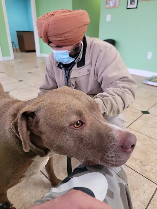 Wayne Mercy Animal Hospital 3