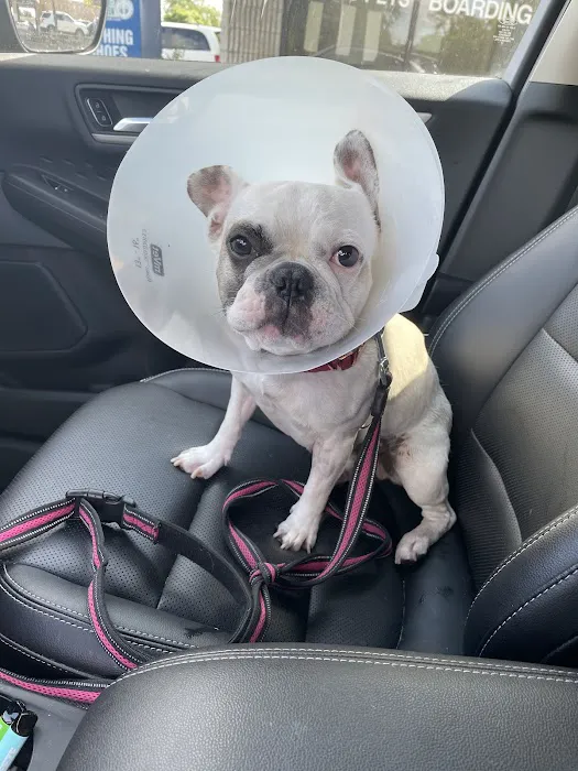 Wayne Mercy Animal Hospital 5