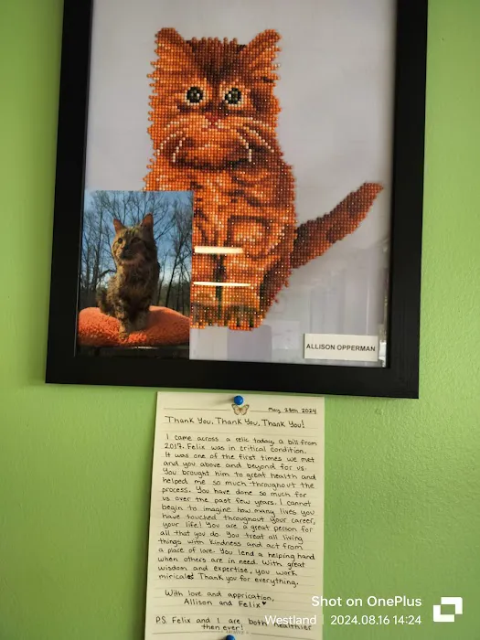 Wayne Mercy Animal Hospital 9
