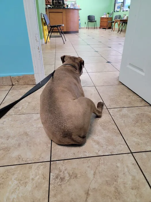 Wayne Mercy Animal Hospital 4