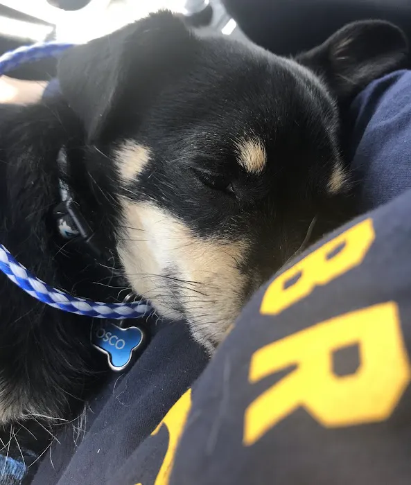 Michigan Humane Veterinary Center 9