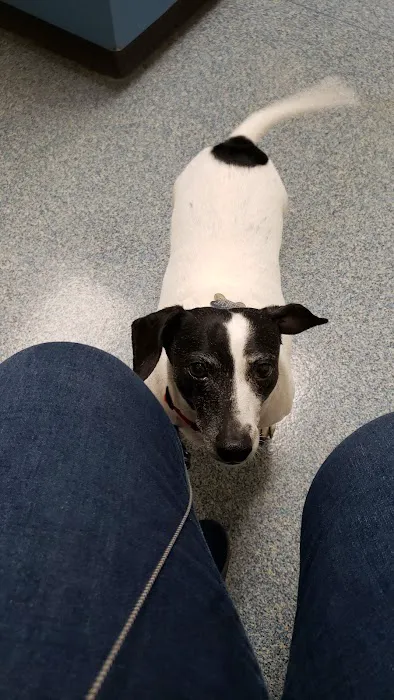 Michigan Humane Veterinary Center 3