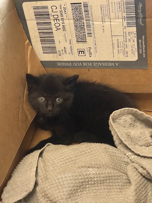 Michigan Humane Veterinary Center 7