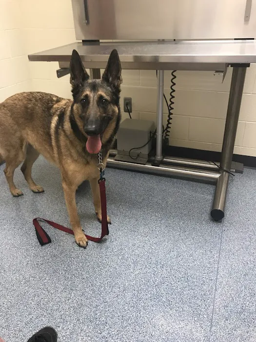 Michigan Humane Veterinary Center 6