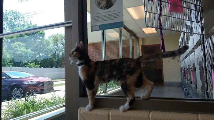 Berman Center for Animal Care 6