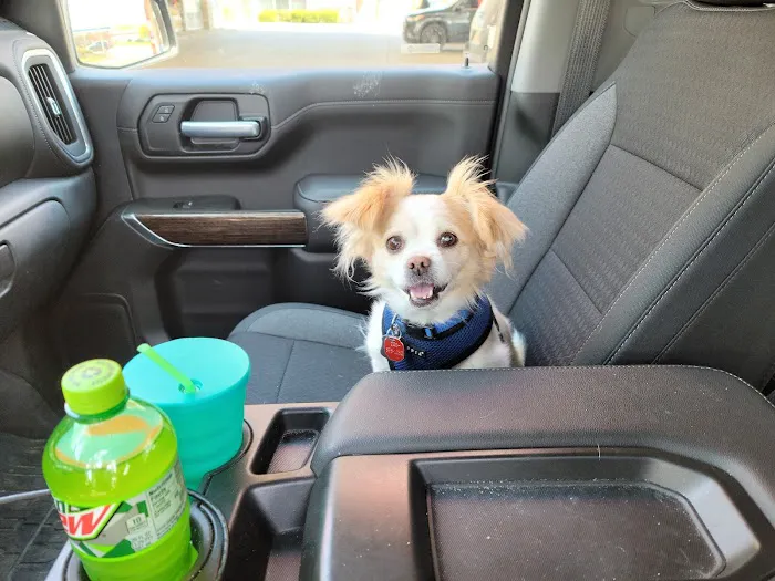 Healthy Paws Veterinary Medical Center 2