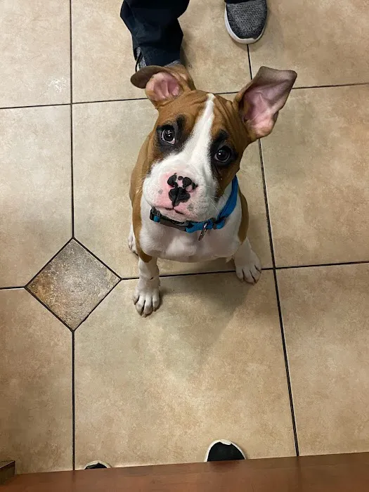 Healthy Paws Veterinary Medical Center 10