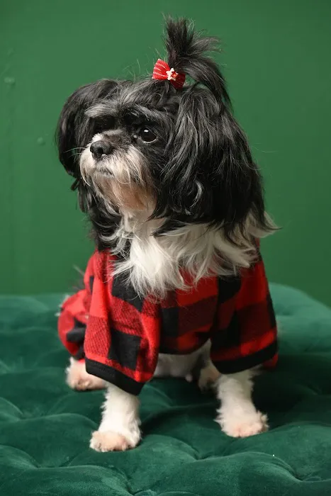 Healthy Paws Veterinary Medical Center 4