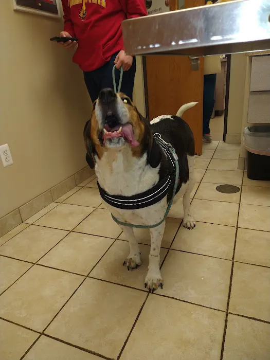 Cherry Hill Animal Clinic 8