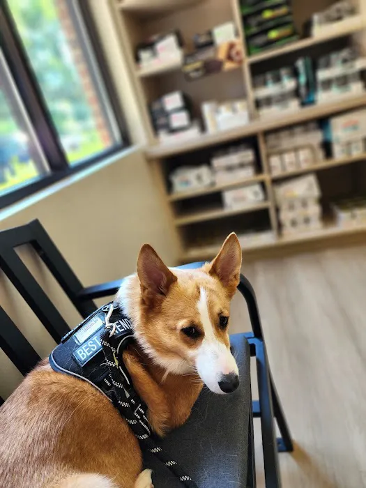 Cherry Hill Animal Clinic 9
