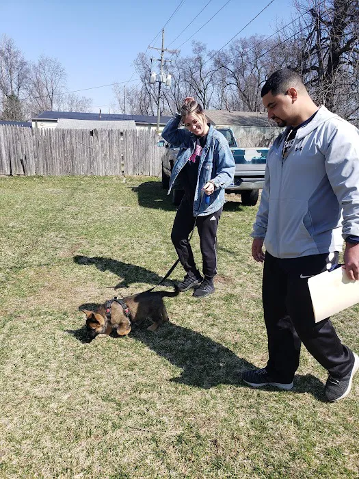 Affiliated Veterinary Emergency Service 7