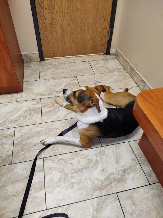 Dix Animal Hospital 1