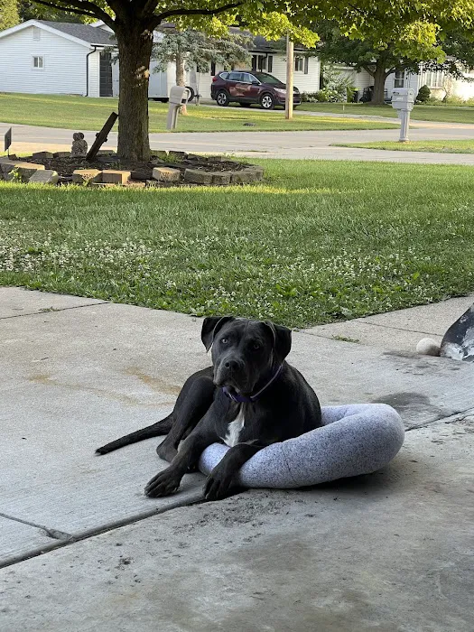 Dix Animal Hospital 9