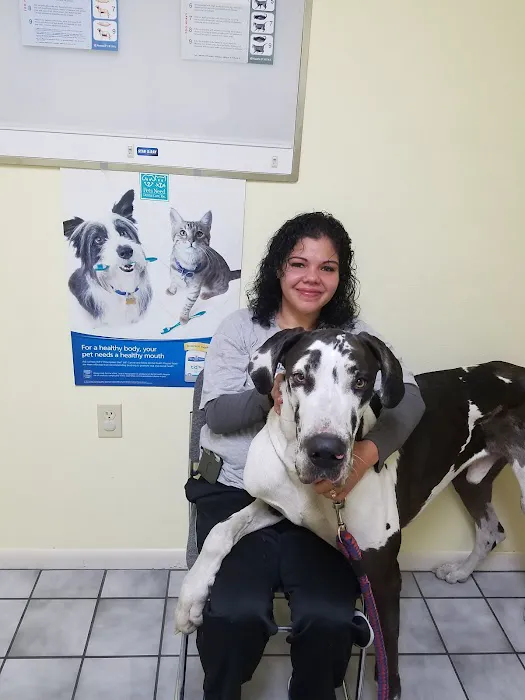Courtenay Animal Hospital 1