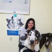 Courtenay Animal Hospital ico