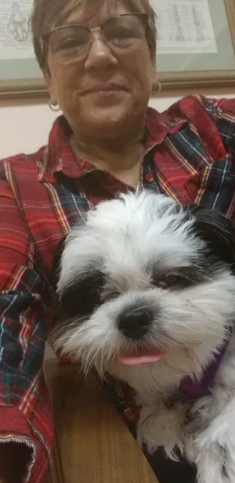 Courtenay Animal Hospital 9