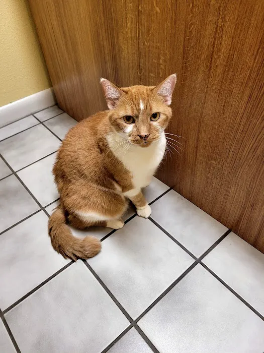 Courtenay Animal Hospital 6