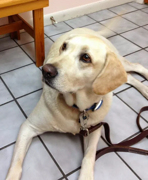 Courtenay Animal Hospital 10