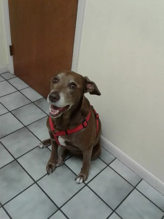Courtenay Animal Hospital 4