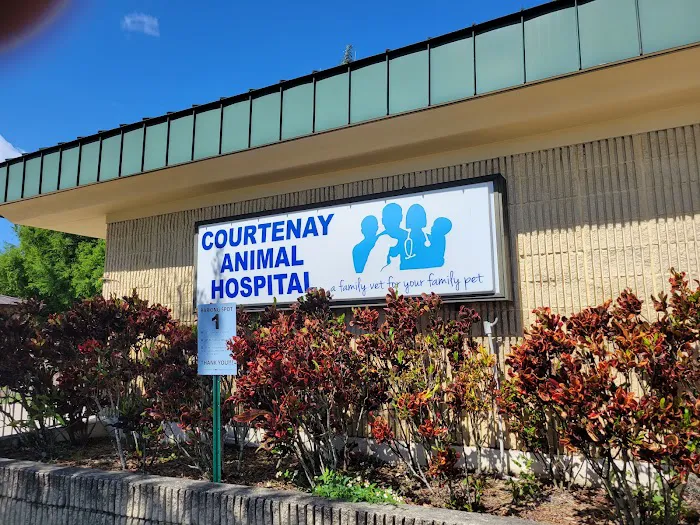 Courtenay Animal Hospital 7